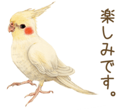 Cat and my cute companies sticker #3495886