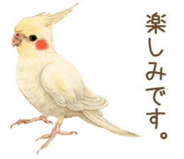 Cat and my cute companies sticker #3495886