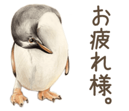 Cat and my cute companies sticker #3495887