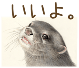 Cat and my cute companies sticker #3495888