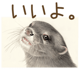 Cat and my cute companies sticker #3495888