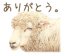 Cat and my cute companies sticker #3495889