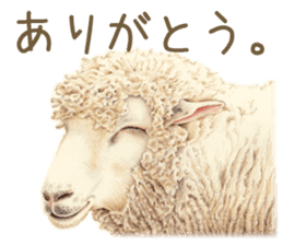 Cat and my cute companies sticker #3495889