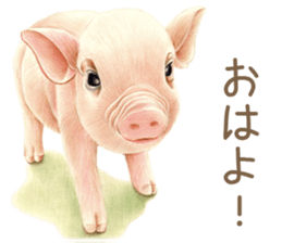 Cat and my cute companies sticker #3495891