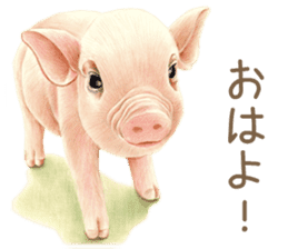 Cat and my cute companies sticker #3495891