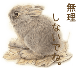 Cat and my cute companies sticker #3495892