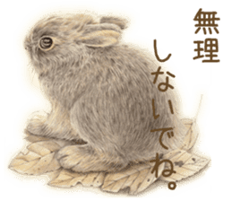 Cat and my cute companies sticker #3495892