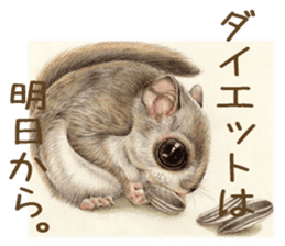 Cat and my cute companies sticker #3495895