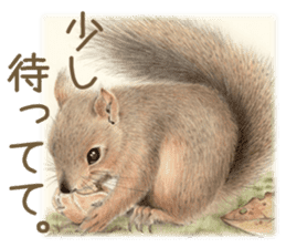 Cat and my cute companies sticker #3495896