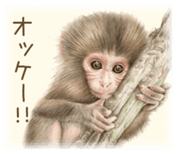 Cat and my cute companies sticker #3495897