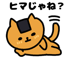 A cat speak the Saitama dialect. sticker #3497788