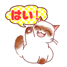 sweet ragdoll sticker #3498722