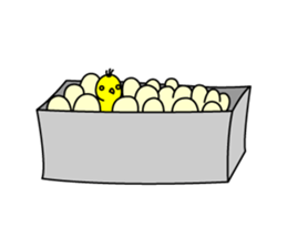 chicken and chick  of egg shop. sticker #3499374