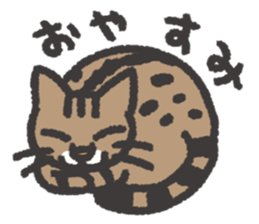 smug face cat TORA TABBY sticker #3500108