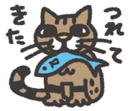 smug face cat TORA TABBY sticker #3500114