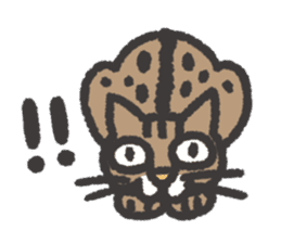 smug face cat TORA TABBY sticker #3500119