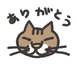 smug face cat TORA TABBY sticker #3500124