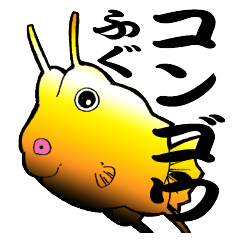 Congolese cormorant blowfish