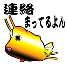 Congolese cormorant blowfish sticker #3500299