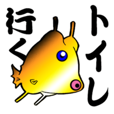 Congolese cormorant blowfish sticker #3500319