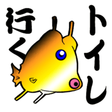 Congolese cormorant blowfish sticker #3500319
