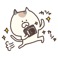 calico cat sticker 2