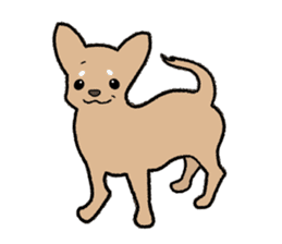 Chihuahua of Sticker sticker #3501819