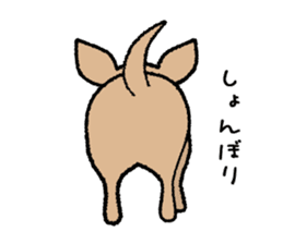 Chihuahua of Sticker sticker #3501821