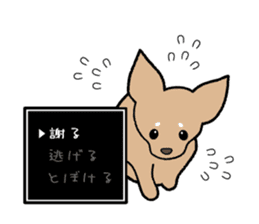 Chihuahua of Sticker sticker #3501832