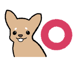 Chihuahua of Sticker sticker #3501834