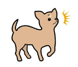 Chihuahua of Sticker sticker #3501839