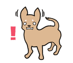 Chihuahua of Sticker sticker #3501840