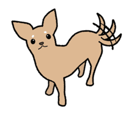 Chihuahua of Sticker sticker #3501843