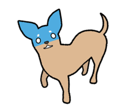 Chihuahua of Sticker sticker #3501844