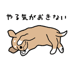 Chihuahua of Sticker sticker #3501848