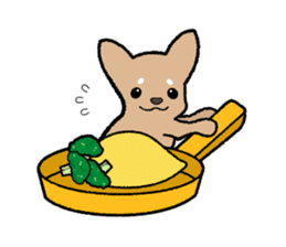 Chihuahua of Sticker sticker #3501849
