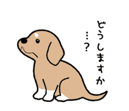Chihuahua of Sticker sticker #3501851