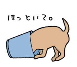 Chihuahua of Sticker sticker #3501852