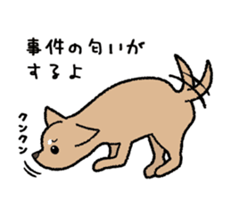 Chihuahua of Sticker sticker #3501853