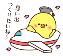 Graduation of a chick and congratulation sticker #3503923
