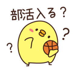 Graduation of a chick and congratulation sticker #3503935