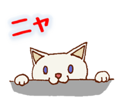 All is cat sticker #3507951