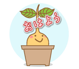 Happy Plant Pino 2 sticker #3509578