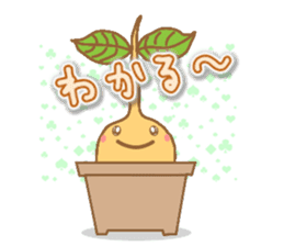 Happy Plant Pino 2 sticker #3509588