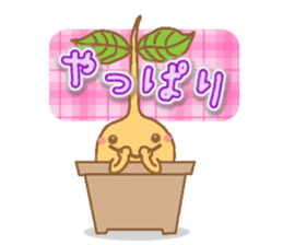 Happy Plant Pino 2 sticker #3509589