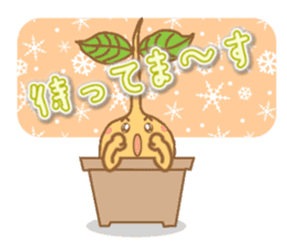 Happy Plant Pino 2 sticker #3509608