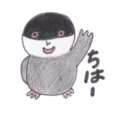 Java sparrow Peoples sticker #3510538