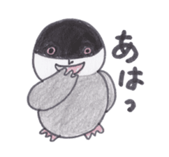 Java sparrow Peoples sticker #3510550