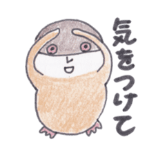 Java sparrow Peoples sticker #3510570