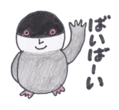 Java sparrow Peoples sticker #3510577